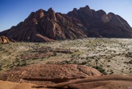Namibia_April_2025 (48/79)